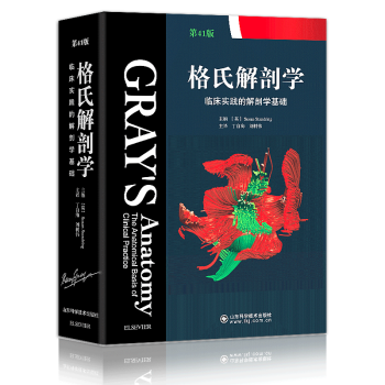 2018格氏解剖學臨床實踐的解剖學基礎 第41版 鍾世鎮院士推薦解剖學聖經 pdf epub mobi 下载