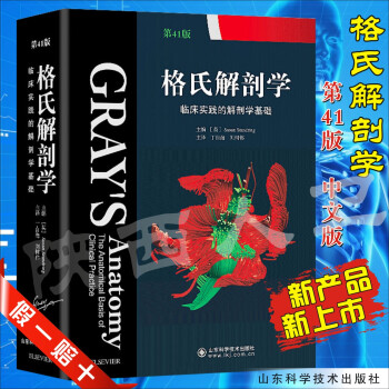 正版现货 格氏解剖学 第41版 9787533189389