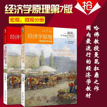 经济学原理曼昆 第七版(宏观经济学+微观经济学）全2册（第六版改版） pdf epub mobi 电子书 下载