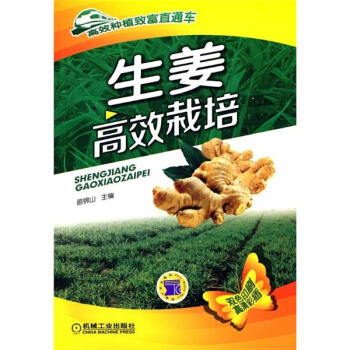 生薑高效栽培 pdf epub mobi 下载