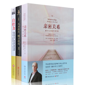 天纔在左瘋子在右+密關係+自控力 全3冊 暢銷心理學大眾心理學書籍 pdf epub mobi 下载