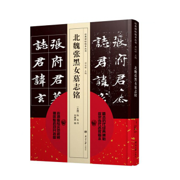 【正版现货】碑帖临本丛书 北魏张黑女墓志铭 pdf epub mobi 下载