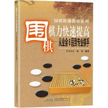 围棋棋力快速提高-从业余6段到专业棋手