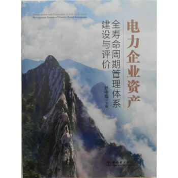 电力企业资产全寿命周期管理体系建设与评价 pdf epub mobi 下载