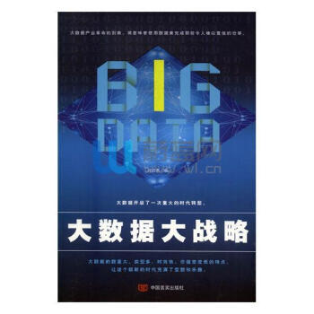 大数据 大战略/杜启杰编 pdf epub mobi 电子书 下载