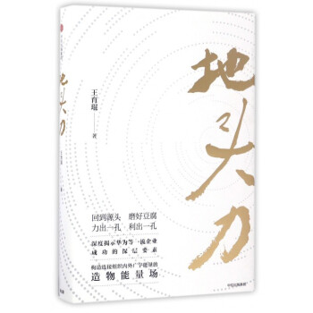 地头力(精) pdf epub mobi 下载
