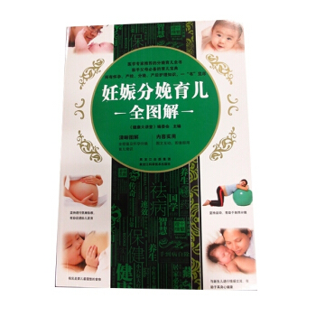 妊娠分娩育儿全图解 pdf epub mobi 下载