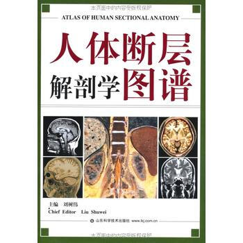 人體斷層解剖學圖譜 劉樹偉 pdf epub mobi 下载