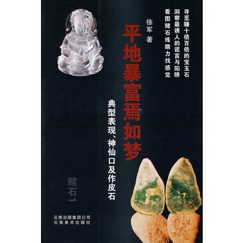 赌石1平地暴富焉如梦 徐军 云南美术出版社 鉴赏收藏 pdf epub mobi 下载