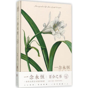 一念永恒 pdf epub mobi 电子书 下载