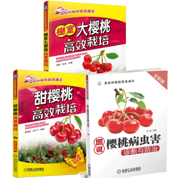 甜樱桃高效栽培+棚室大樱桃高效栽培+图说樱桃病虫害诊断与防治 樱桃树种植栽培技术 3本