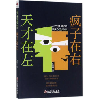 天才在左疯子在右 pdf epub mobi 下载