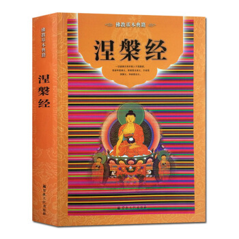 涅槃经 大般涅槃经简体横排版 佛教书籍佛教 pdf epub mobi 下载