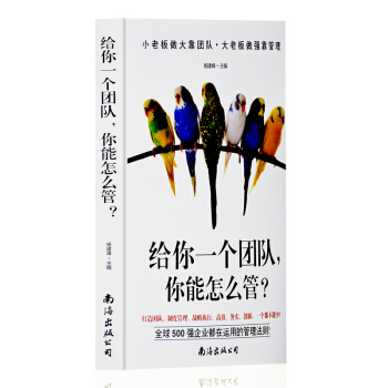 给你一个团队,你能怎么管? 404页企业管理书籍畅销书 管理学书籍 pdf epub mobi 下载