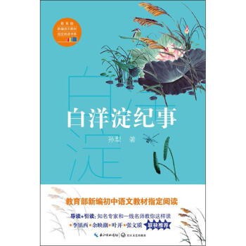 白洋澱紀事(教育部新編語文教材指定閱讀書係) pdf epub mobi 下载