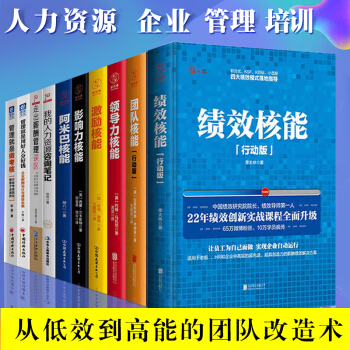 绩效 核能+激励核能+管理就是做考核+我的人力资源咨询笔记等共10册 企业HR管理高管培训书 pdf epub mobi 下载