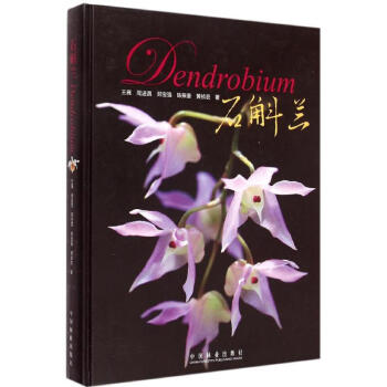 石斛蘭 pdf epub mobi 下载