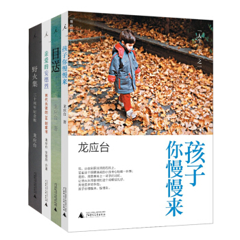 龙应台作品全集共4册 龙应台目送+孩子你慢慢来+爱的安德烈+野火集 龙应台经典散文集书籍