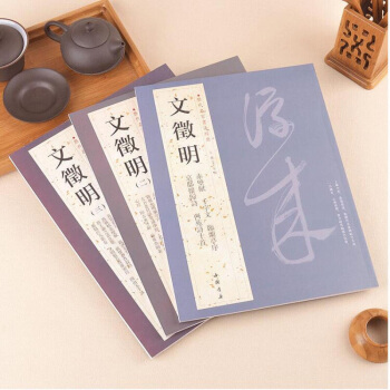 文徵明小楷 曆代名傢書法經典 3本字帖五種 毛筆 文徵明小楷全集曆代名傢經典 小楷 靈飛經 pdf epub mobi 下载