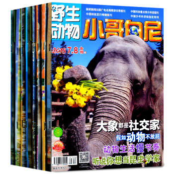 小哥白尼杂志野生动物画报7个月5本打包2018年1.2/3/6/7.8月+2017年12月 pdf epub mobi 下载