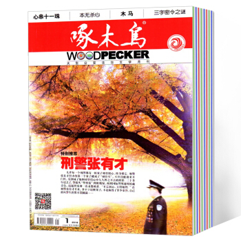 啄木鸟杂志订阅 2018年6月-2019年5月预订 12个月 每月发货 pdf epub mobi 电子书 下载
