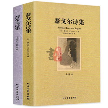 泰戈尔诗集+普希金诗集2册 世界名著全译本诗选大全集 足本无删减 pdf epub mobi 下载