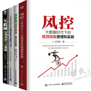 包邮 风控：大数据时代下的信贷风险管理和实践+互联网金融时代+信贷风险与大数据+消费金融 pdf epub mobi 下载