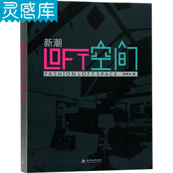 新潮LOFT空间 精选设计名师的LOFT 空间设计作品书籍