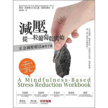 減壓，從一粒葡萄乾開始：正念減壓療法練習手冊（附光碟） [A Mindfulness-Based Stress Reduction Workbook] pdf epub mobi 下载