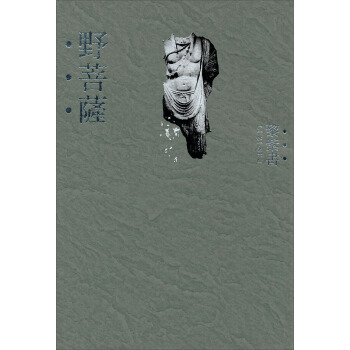 野菩薩 pdf epub mobi 下载