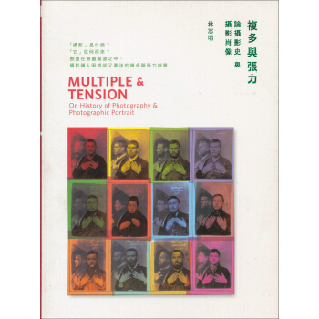 複多與張力：論攝影史與攝影肖像 pdf epub mobi 下载
