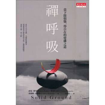 禪呼吸 [Solid Ground：Buddhist Wisdom for Difficult Times] pdf epub mobi 下载