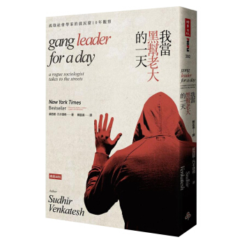 我當黑幫老大的一天: 流氓社會學家的貧民窟10年觀察 (第2版) pdf epub mobi 下载