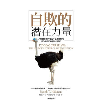 自欺的潛在力量 pdf epub mobi 下载