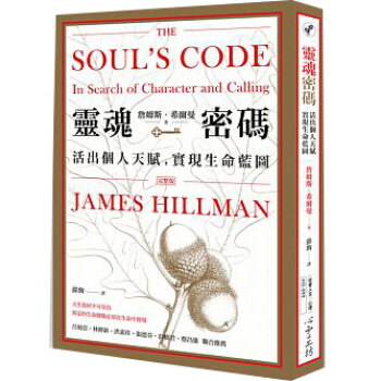 靈魂密碼: 活齣個人天賦, 實現生命藍圖 pdf epub mobi 電子書 下載