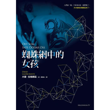 蜘蛛網中的女孩 pdf epub mobi 電子書 下載