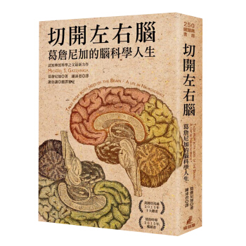 切開左右腦: 葛詹尼加的腦科學人生 pdf epub mobi 下载