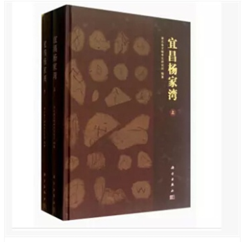 宜昌杨家湾（上下册） pdf epub mobi 电子书 下载