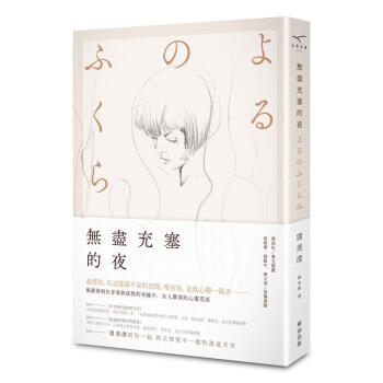 無盡充塞的夜 pdf epub mobi 下载