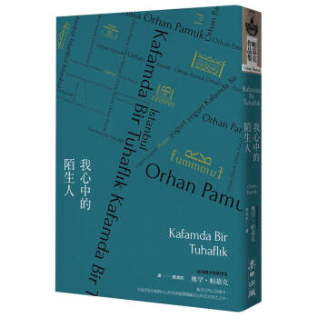 我心中的陌生人 pdf epub mobi 下载