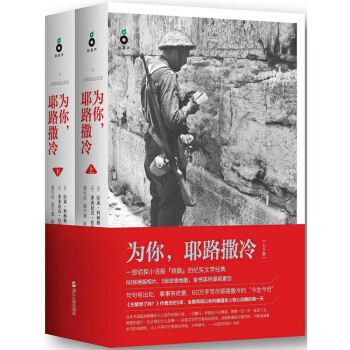 为你，耶路撒冷(套装上下册) 社会科学书籍 历史 文学书籍 pdf epub mobi 下载