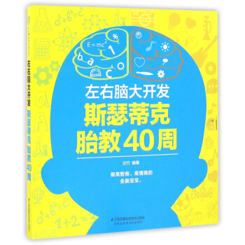 左右脑大开发斯瑟蒂克胎教40周 pdf epub mobi 下载