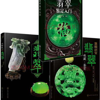 翡翠鑒定入門+汪新斌講翡翠+慧眼識寶 翡翠收藏鑒賞 藝術收藏鑒賞玉器 寶石翡翠鑒賞技巧書