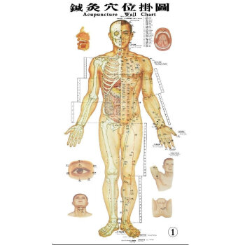 针灸穴位挂图（真人版，3张）新版 pdf epub mobi 下载