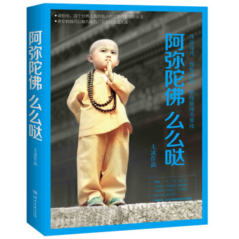 阿弥陀佛么么哒 大冰 pdf epub mobi 电子书 下载