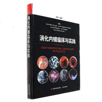 消化内镜临床与实践 pdf epub mobi 下载