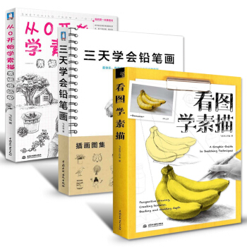 素描基础教程美术基础入门自学绘画 铅笔画入门基础教程书小学生成人零基础学画画的书速写手绘