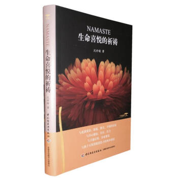 2017版 Namaste生命喜悦的祈祷 pdf epub mobi 下载