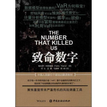 致命数字 pdf epub mobi 下载