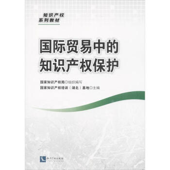國際貿易中的知識産權保護 pdf epub mobi 下载